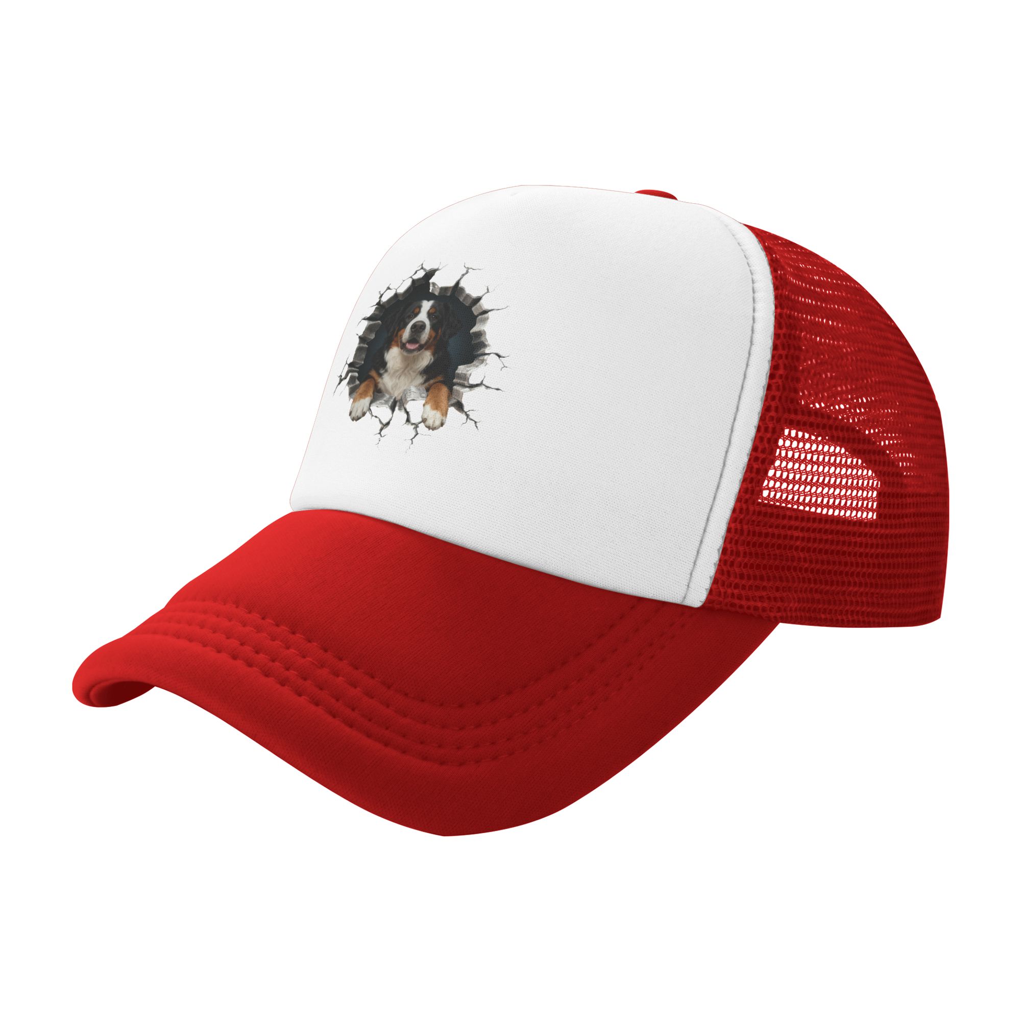 Breaking Through Bernese Mount – Trucker Hat Cap Bewertung und Preis